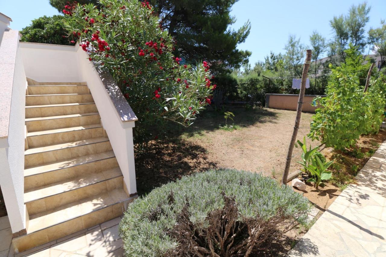 Apartments With A Parking Space Nin, Zadar - 11402 외부 사진